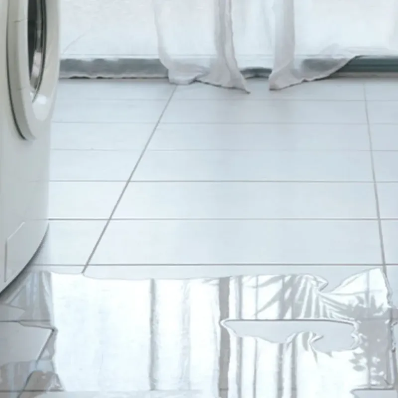 Appliance Leak Cleanup in Reisterstown, MD